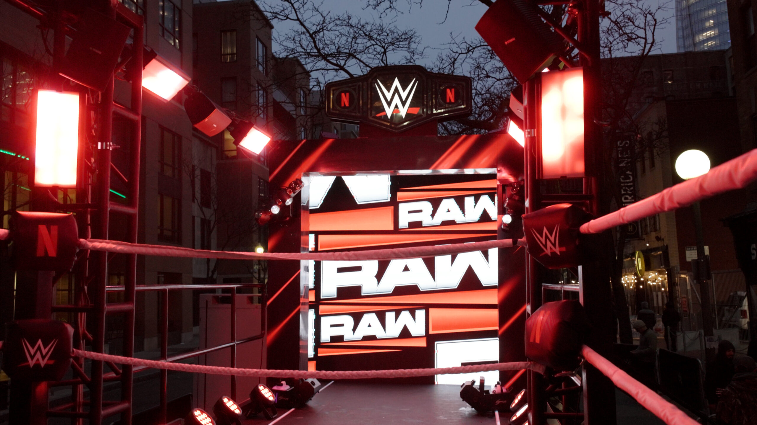 WWE Vanity