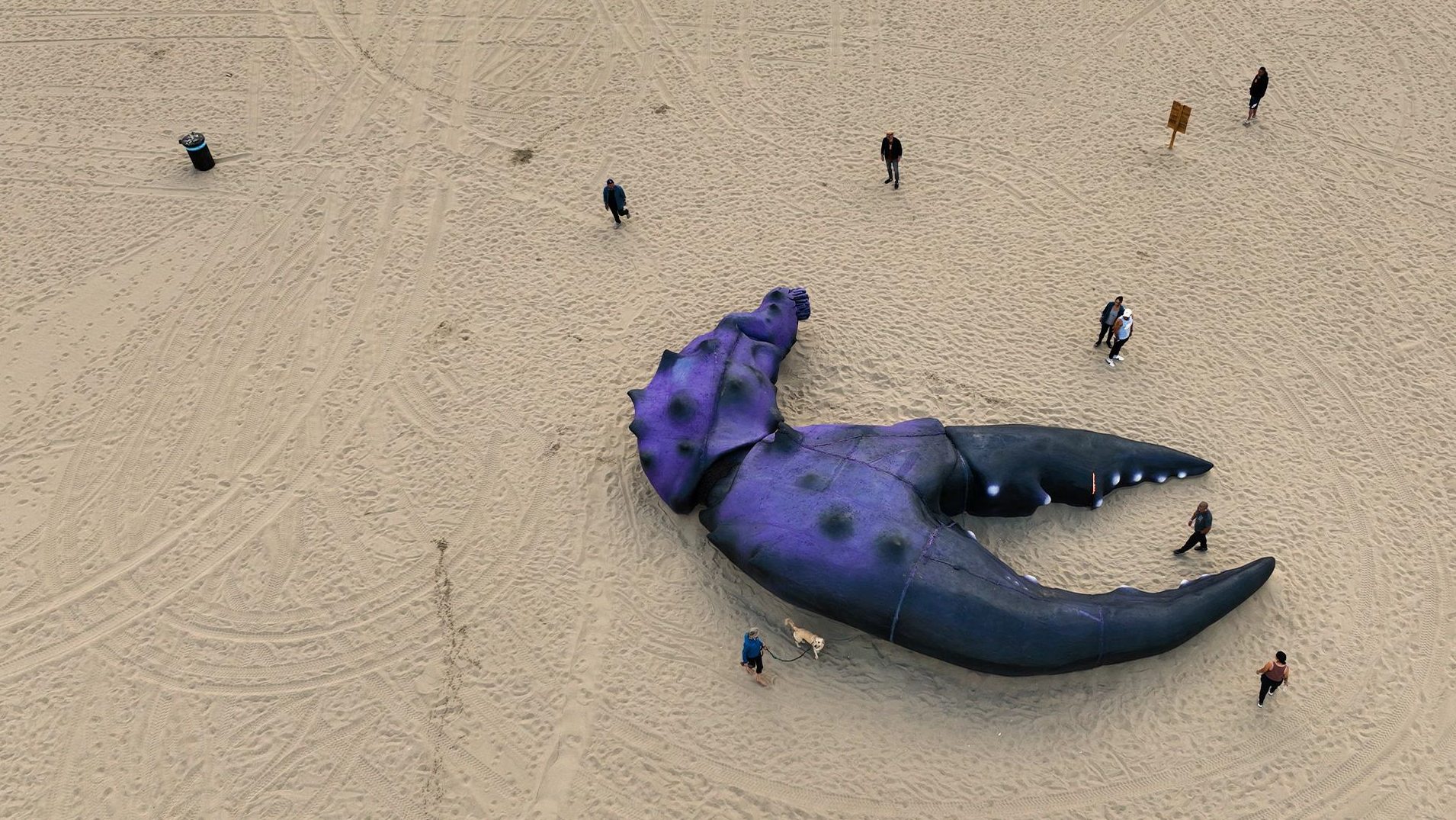 The Sea Beast — Venice Beach